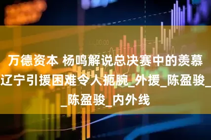 万德资本 杨鸣解说总决赛中的羡慕之情：辽宁引援困难令人扼腕_外援_陈盈骏_内外线