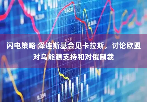 闪电策略 泽连斯基会见卡拉斯，讨论欧盟对乌能源支持和对俄制裁